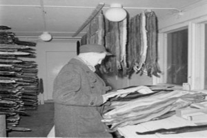 Bilde av Helle Fjærfe- og Pelsdyrgård